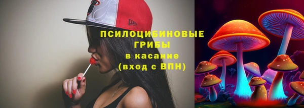 амф Богородицк
