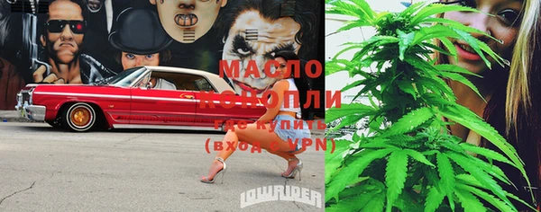 амф Богородицк