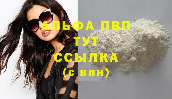 индика Балахна