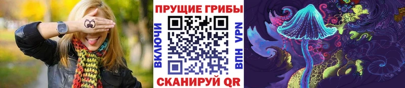 Псилоцибиновые грибы Psilocybine cubensis mega Гаврилов-Ям